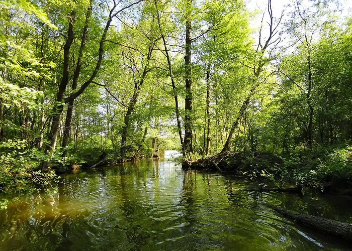 Am Glubigsee * Wendisch Rietz